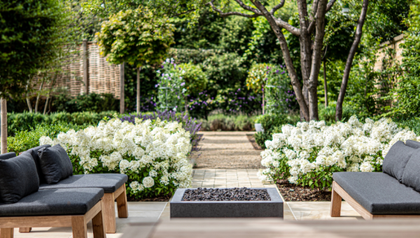 Taman modern dengan pohon besar sebagai fokus